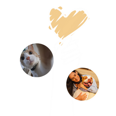 Ilustración MyBfriend