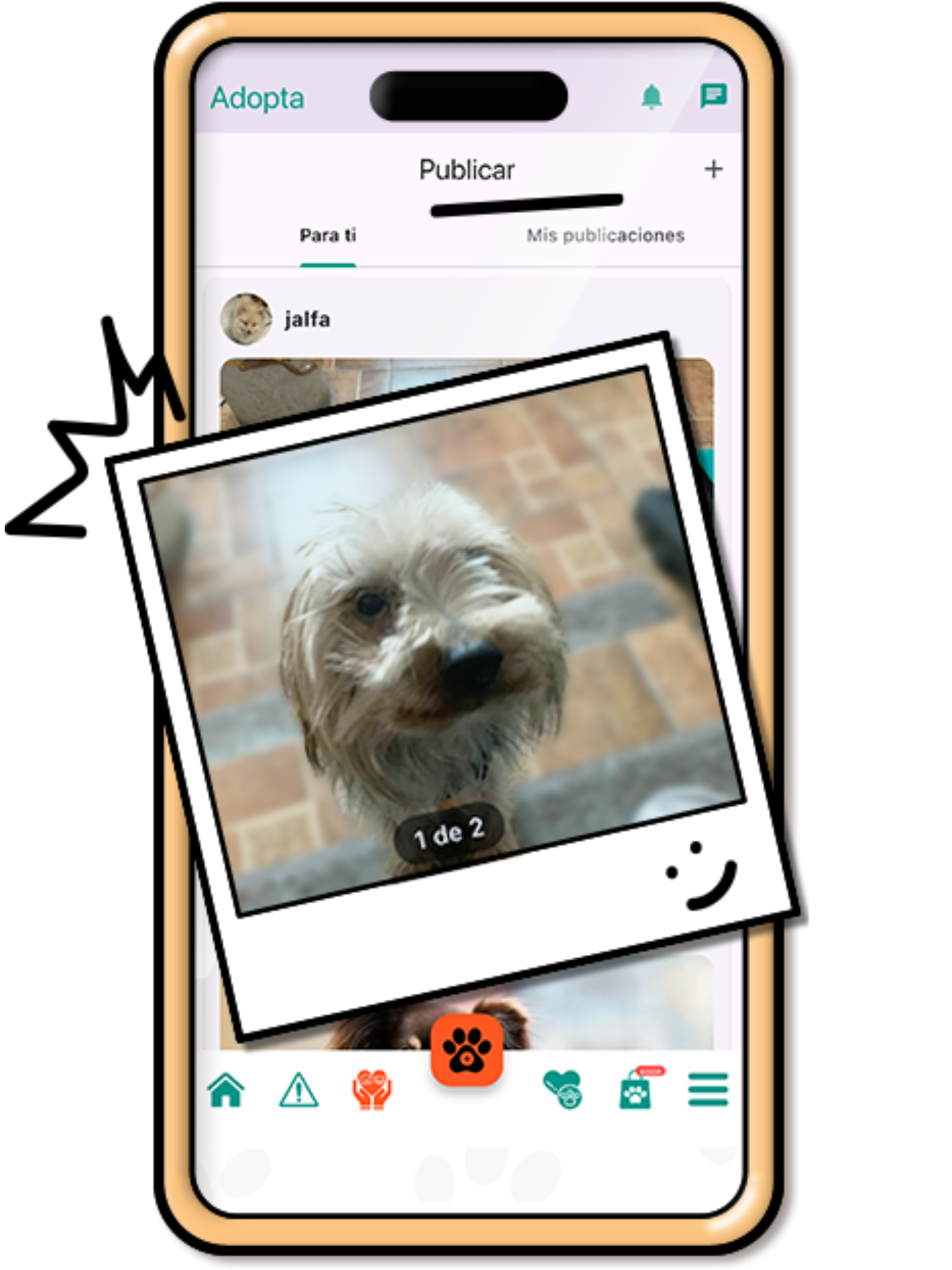 Paso 3 - Compartir contenido